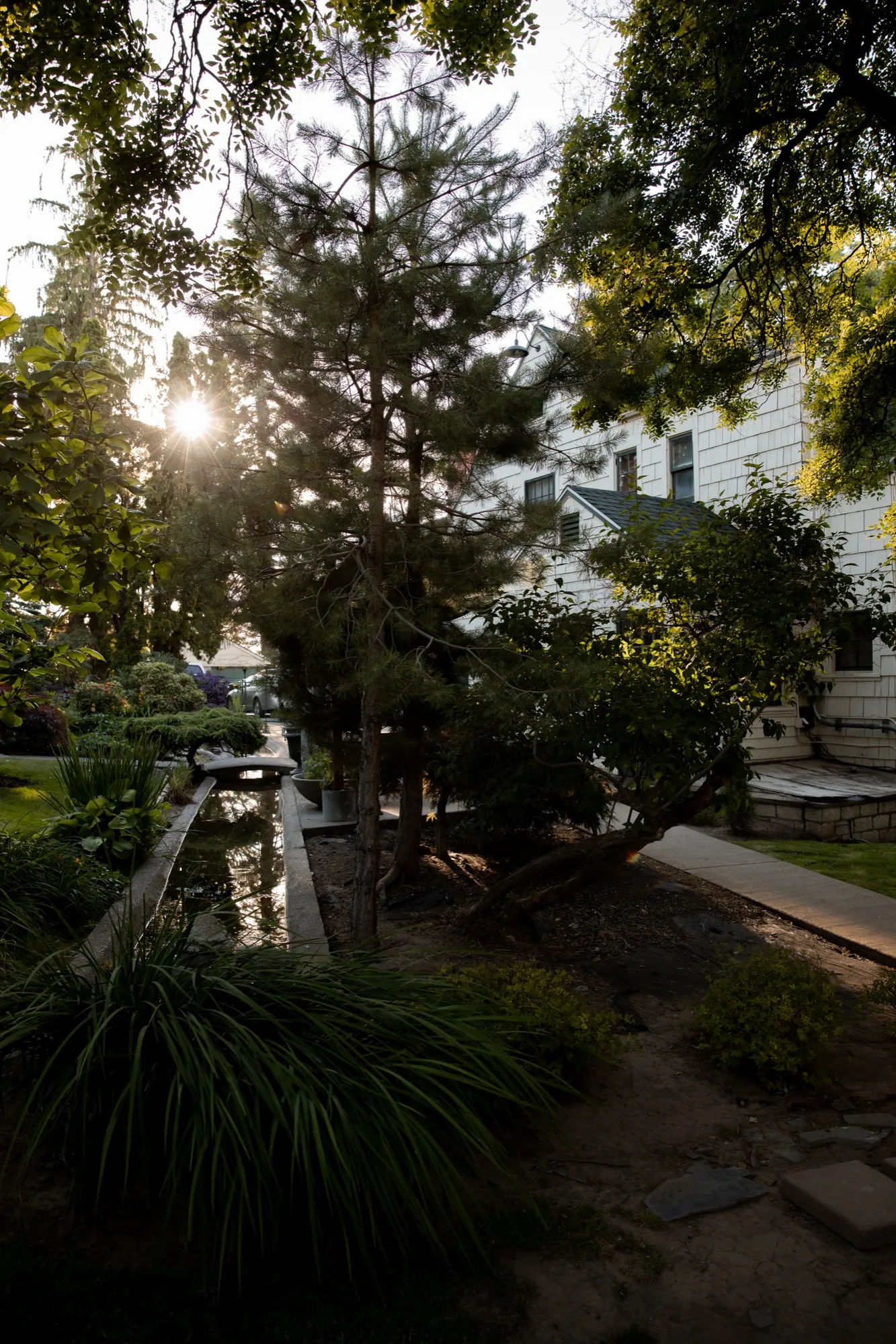 Canal, pines, and the side of the house