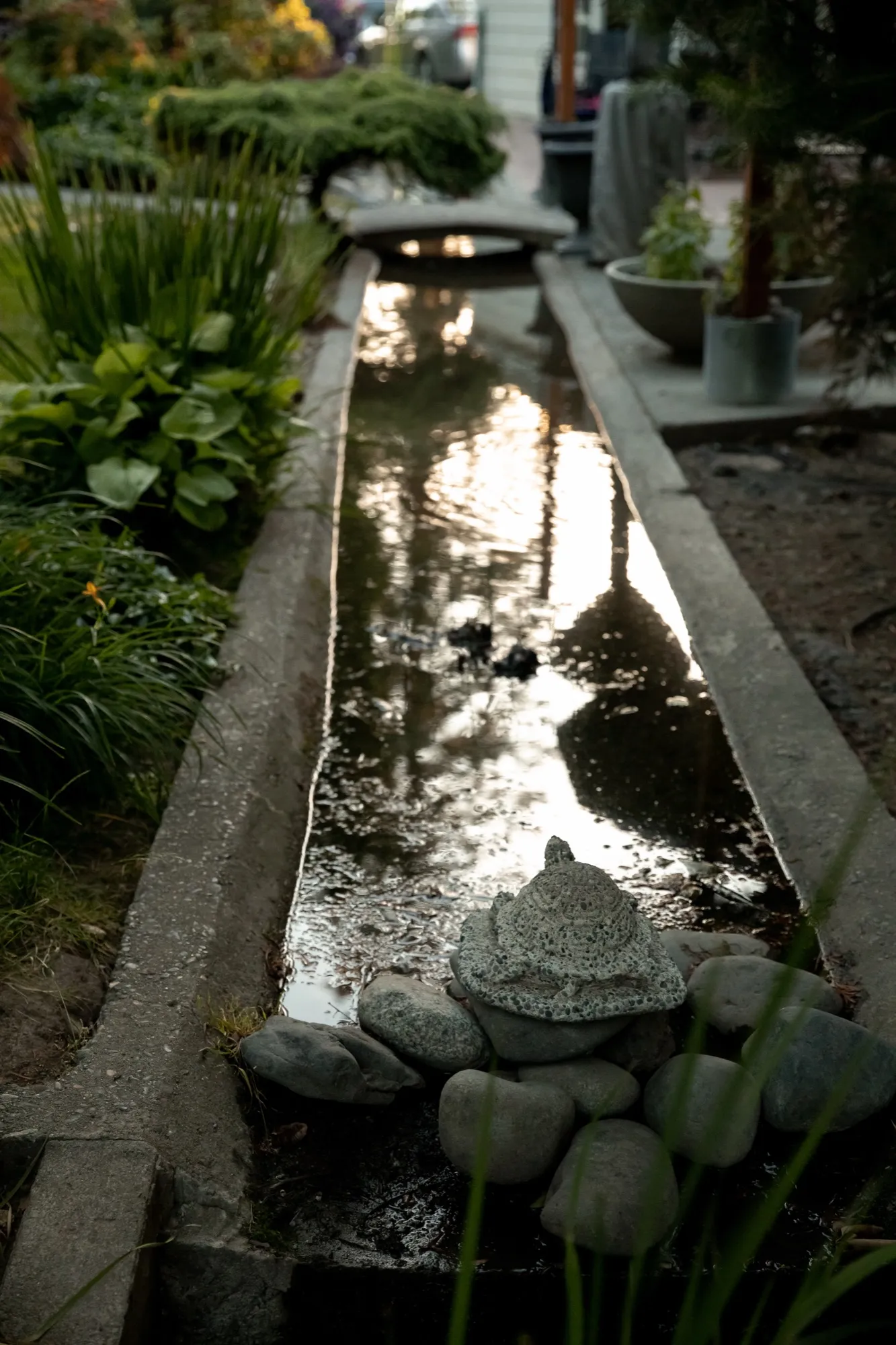 Garden canal with stone turtle at last light
