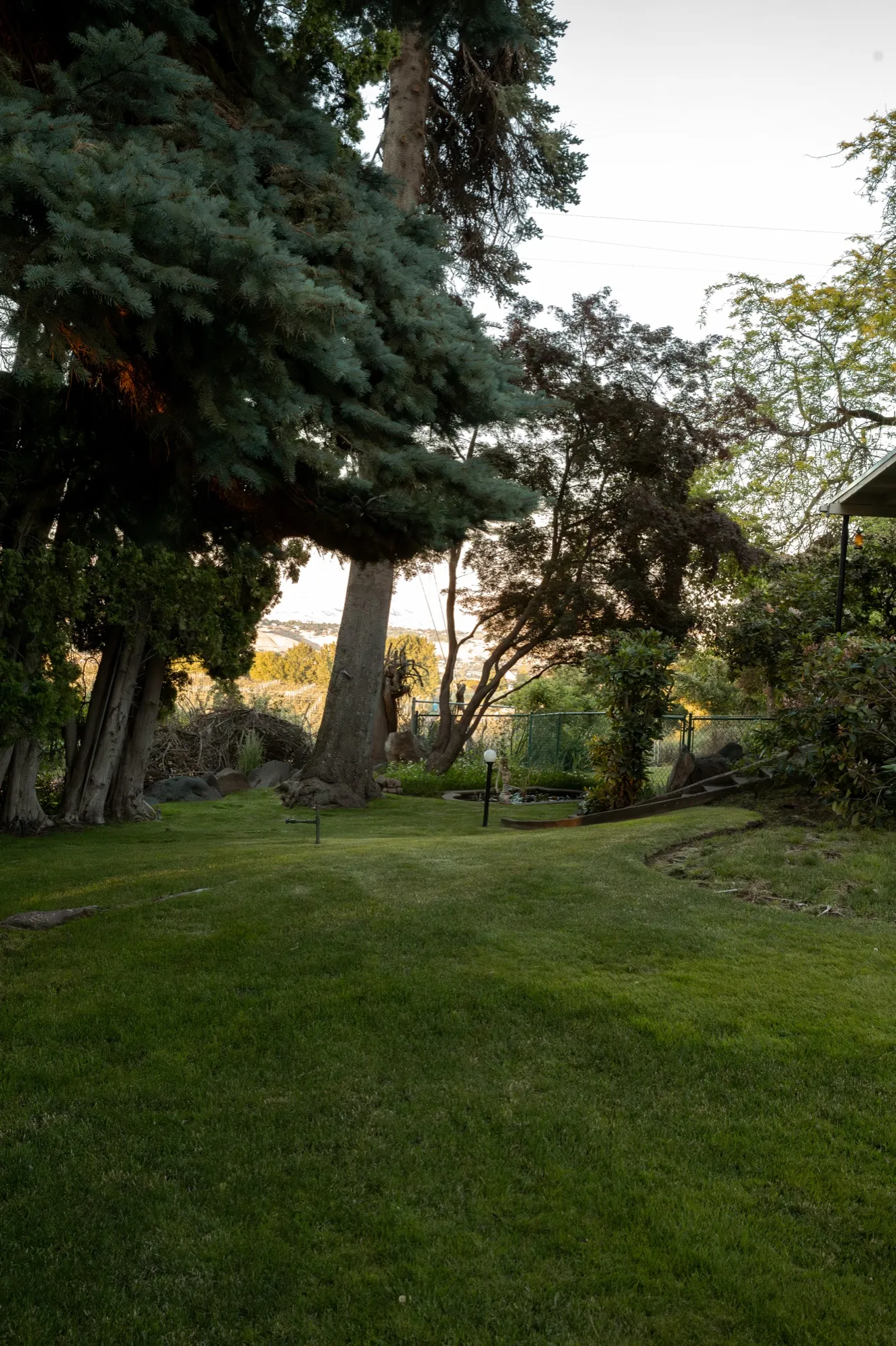 Lawn under the pines with a view toward the Yakima Valley
