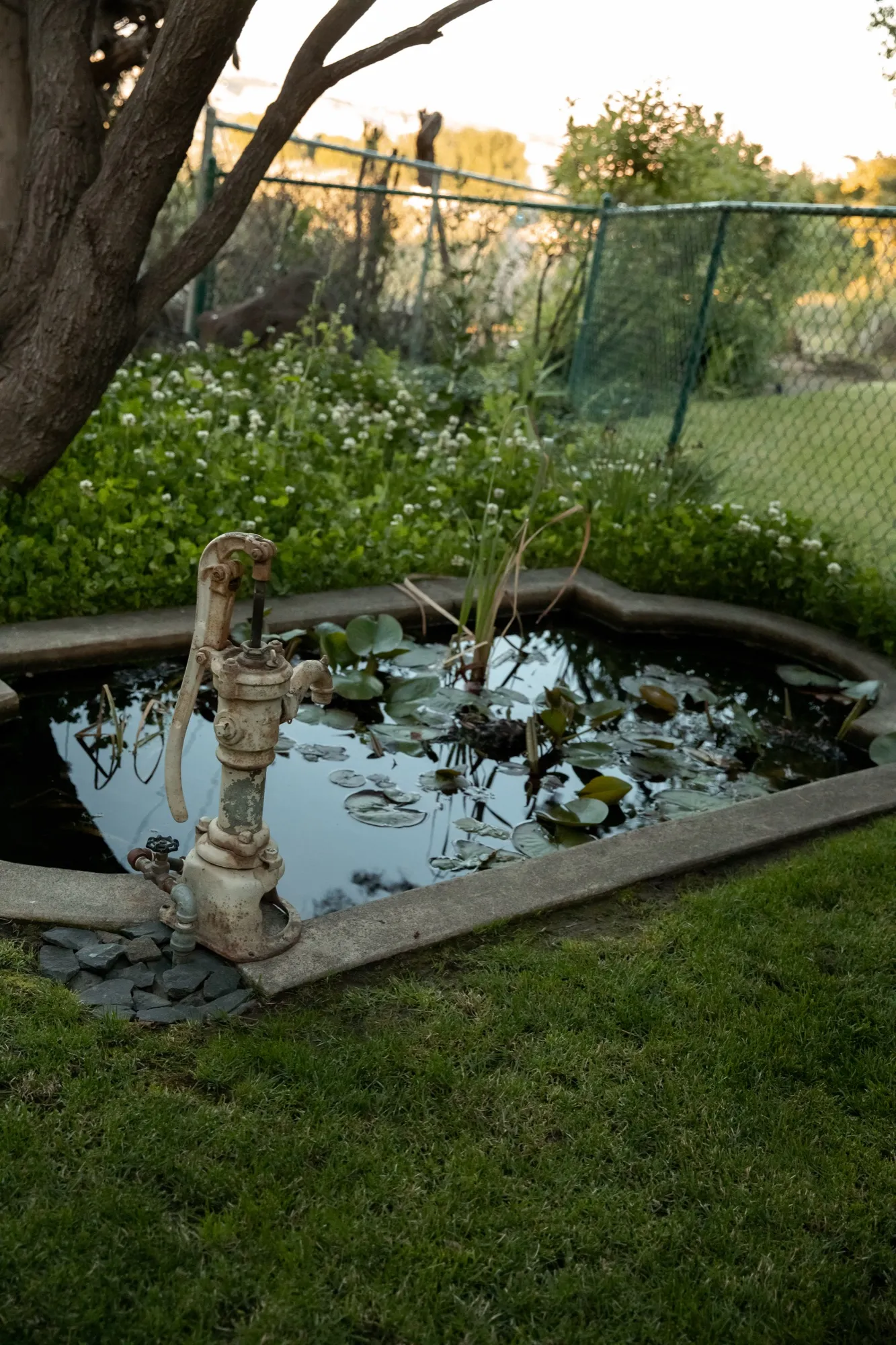 Lily pond and hand pump on the grounds