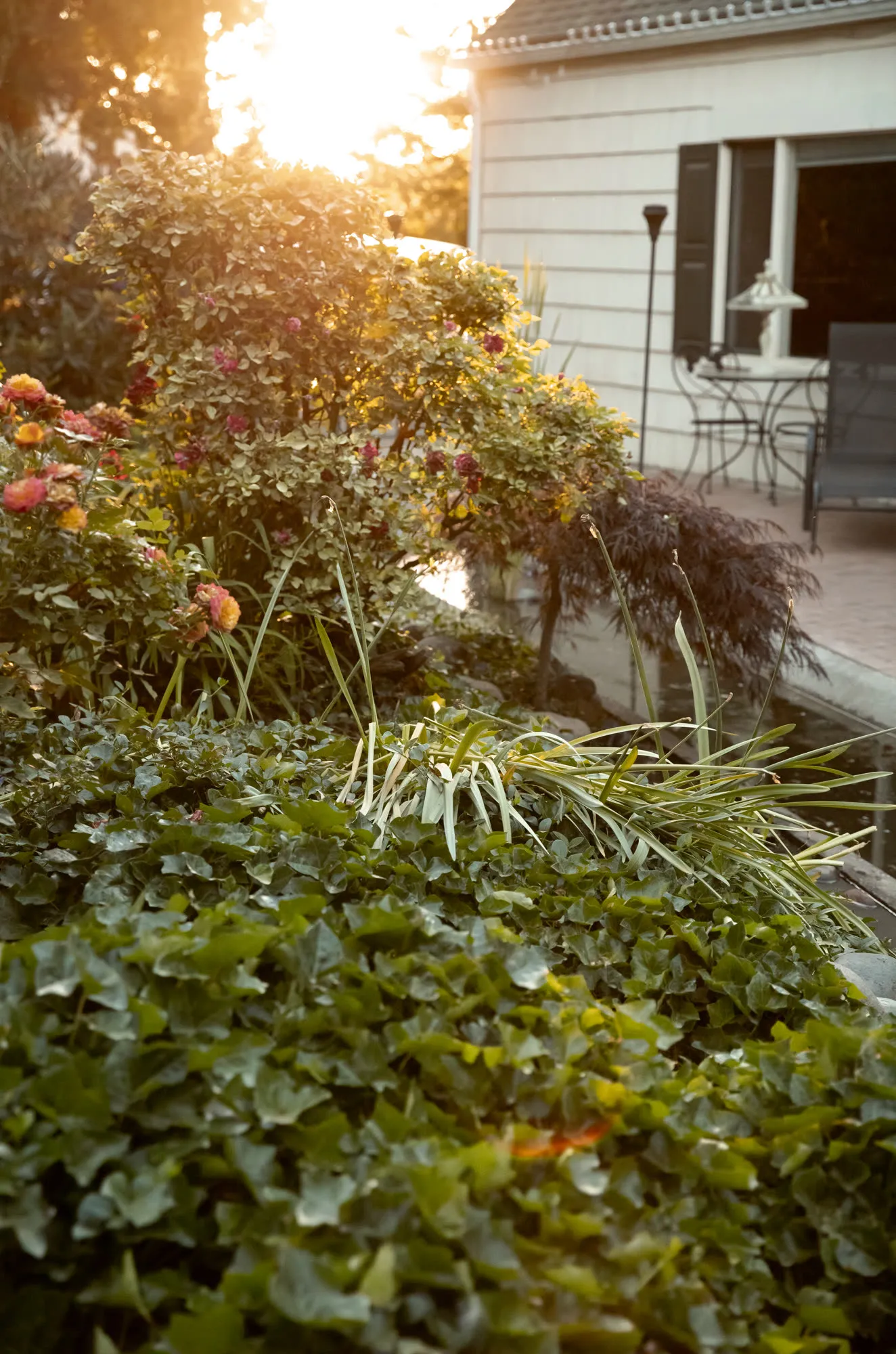 White house wing, patio table, and garden at last light