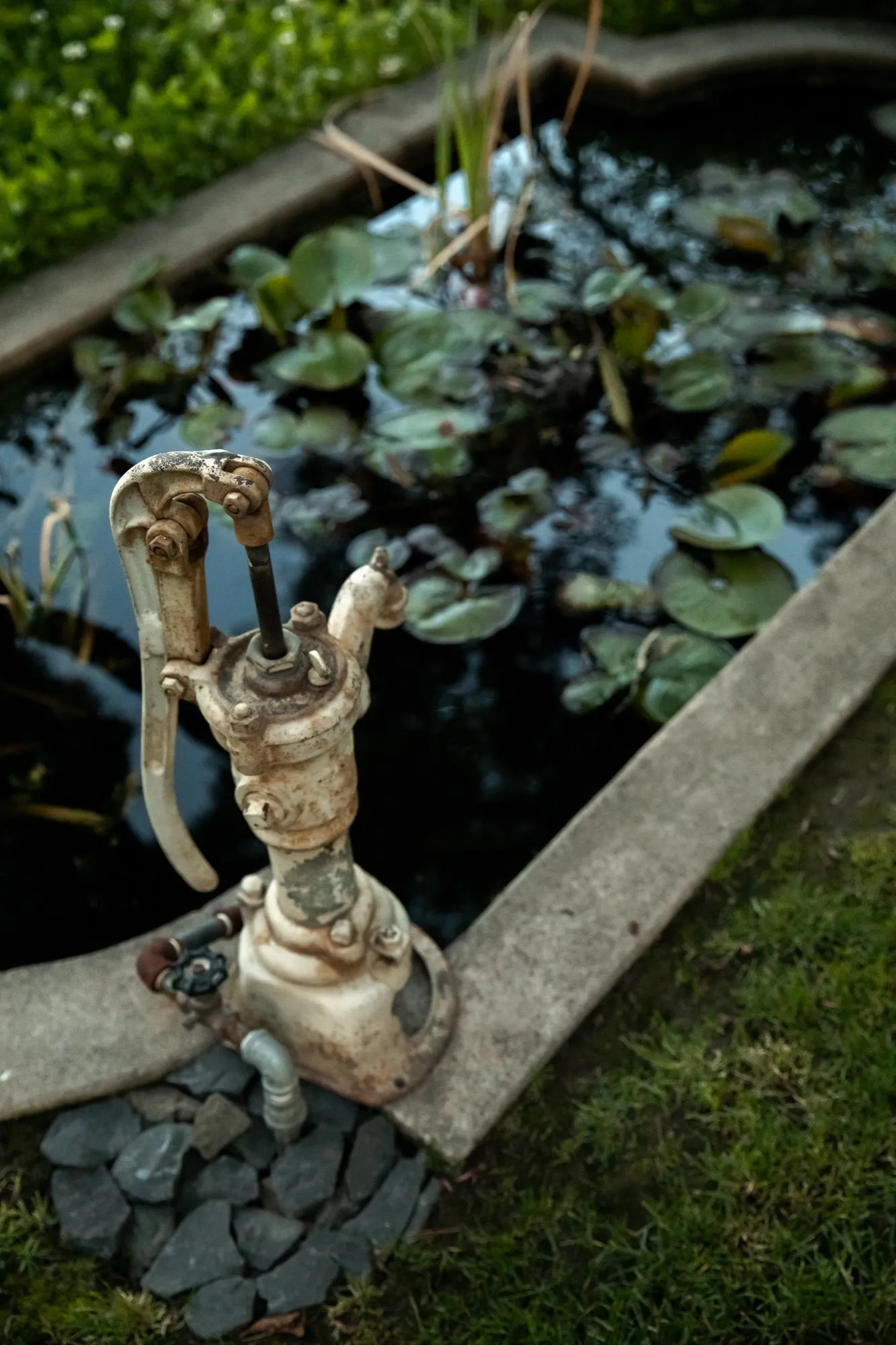 Pond at the edge of the lawn