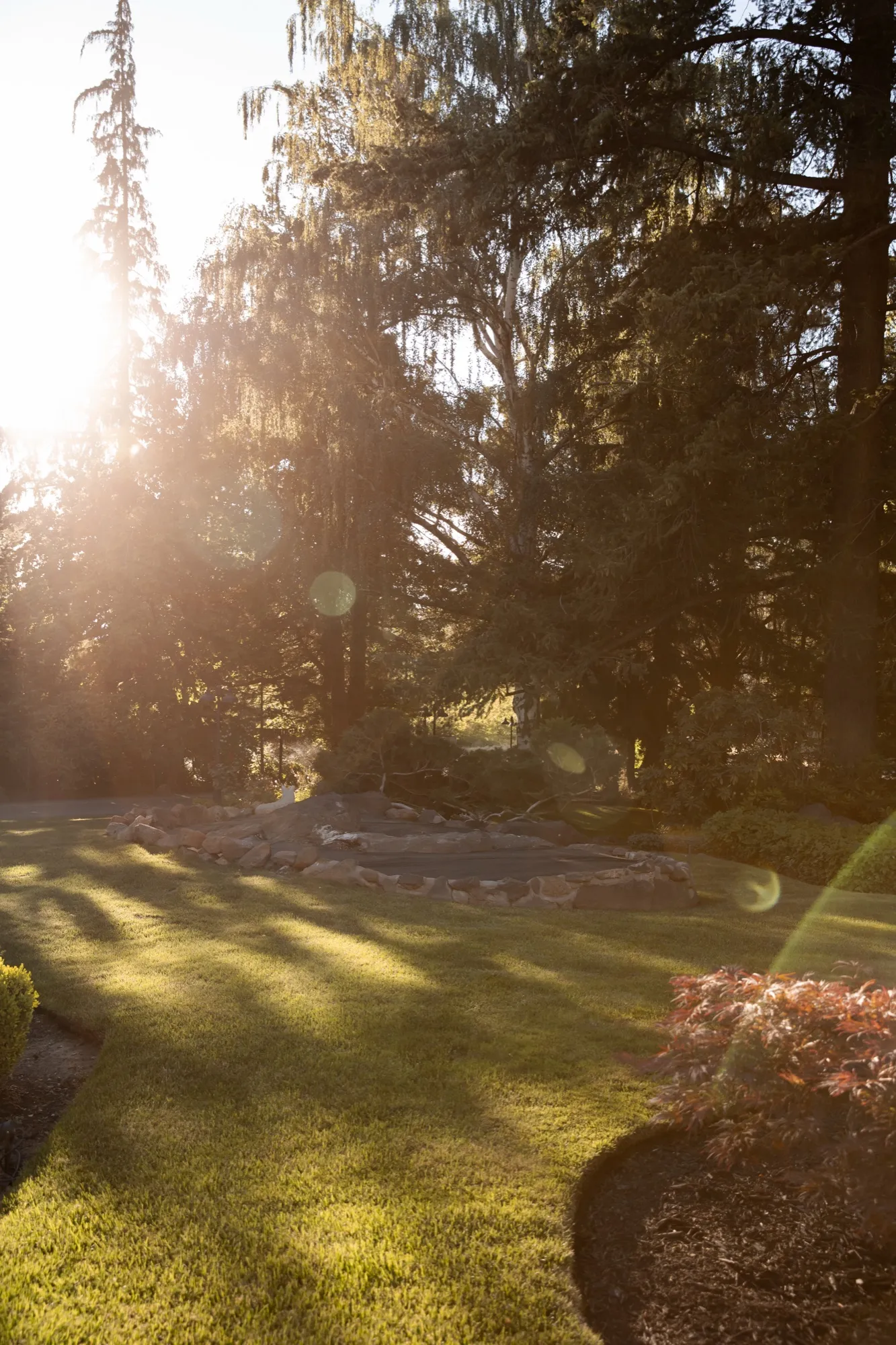 Stone-edged pond on the lawn at last light