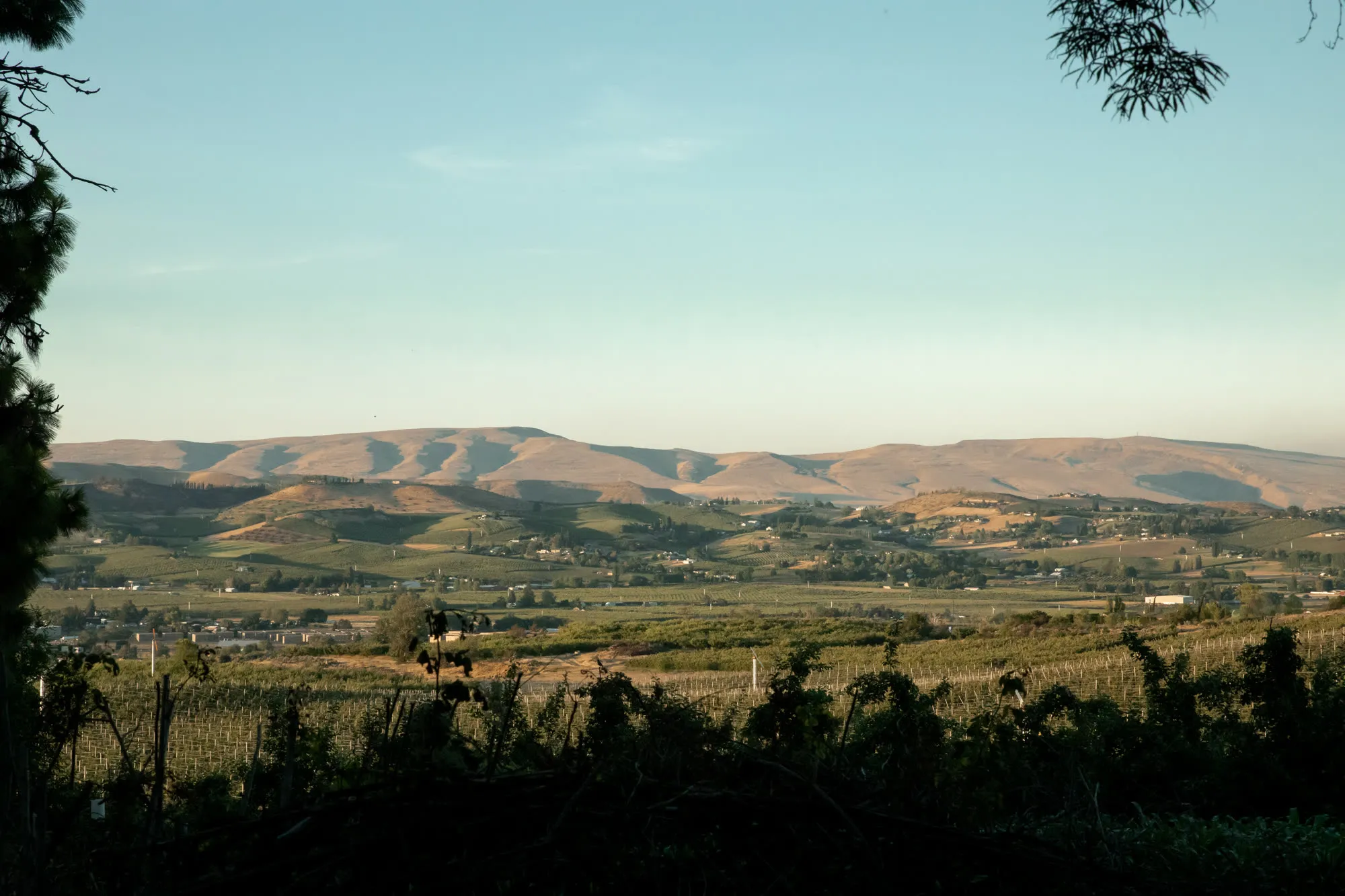 Valley and hills from the property at last light